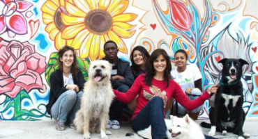 Why Pet Adoption is Sexy Be Kind & Co