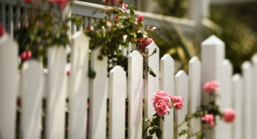 fenceforblog (1)
