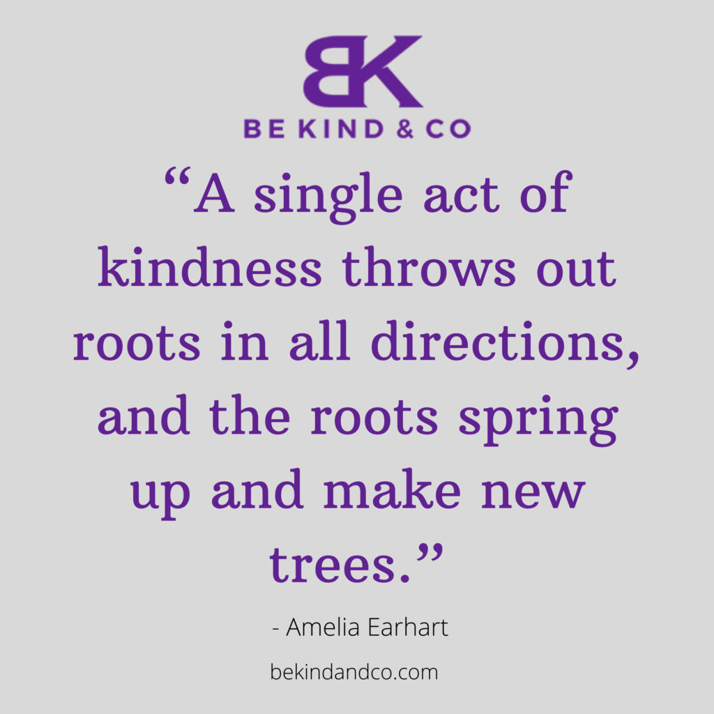 Amelia Earhart Kindness Quote